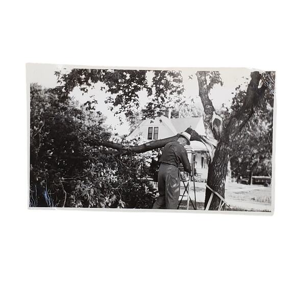 Vtg Man Fixing Fallen Tree Original Monochrome Photography Found 1950 Landscape - Picture 1 of 4
